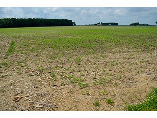 Property photo 77 - LAND AUCTION - 700+/- ACRES OFFERED IN 16 TRACTS IN ALLEN COUNTY, INDIANA